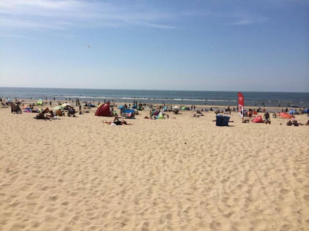 Appartement Kraaiennest à Egmond aan Zee Extérieur photo